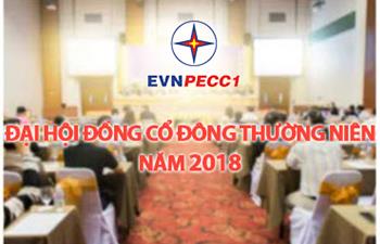 Tài liệu họp ĐHĐCĐ thường niên năm 2018